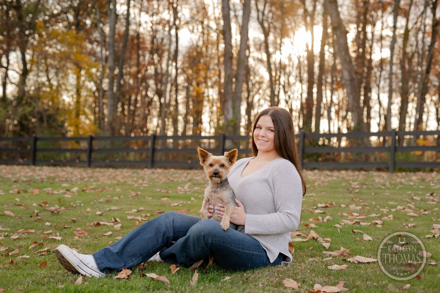 A cozy autumn portrait on fallen leaves with a small Yorkshire Terrier dog against a backdrop of golden trees.