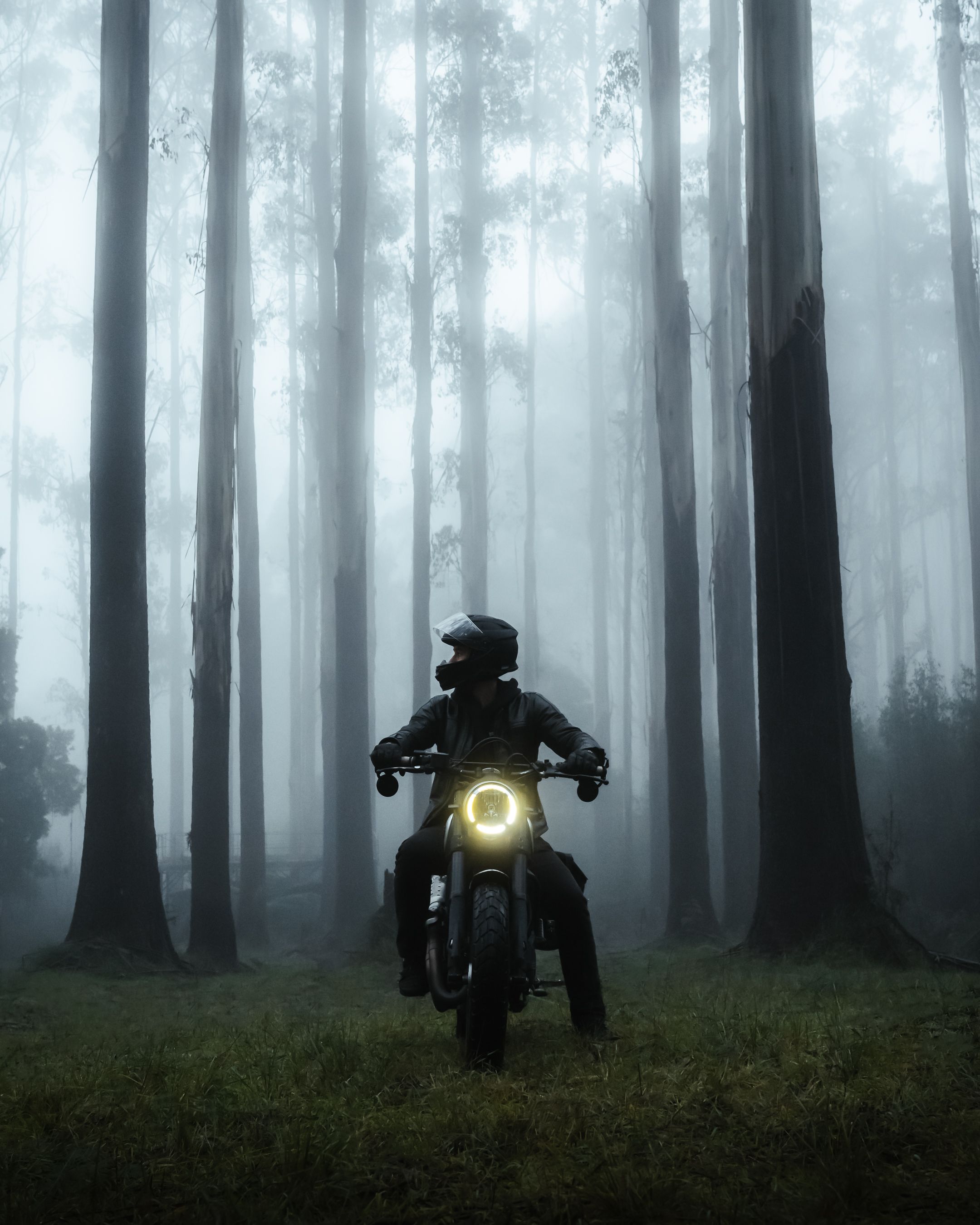 Glowing robotic figures stand ominously in a misty forest creating an eerie sci-fi atmosphere.
