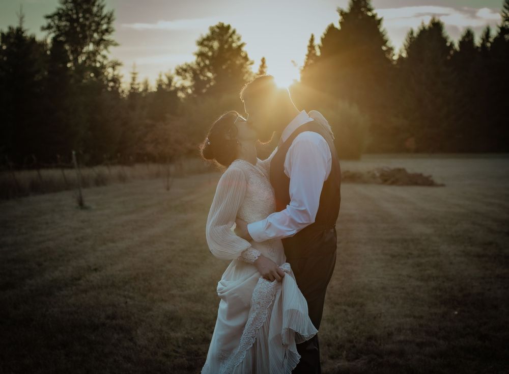 A couple embraces in a golden sunset field with evergreen trees silhouetted in the background.