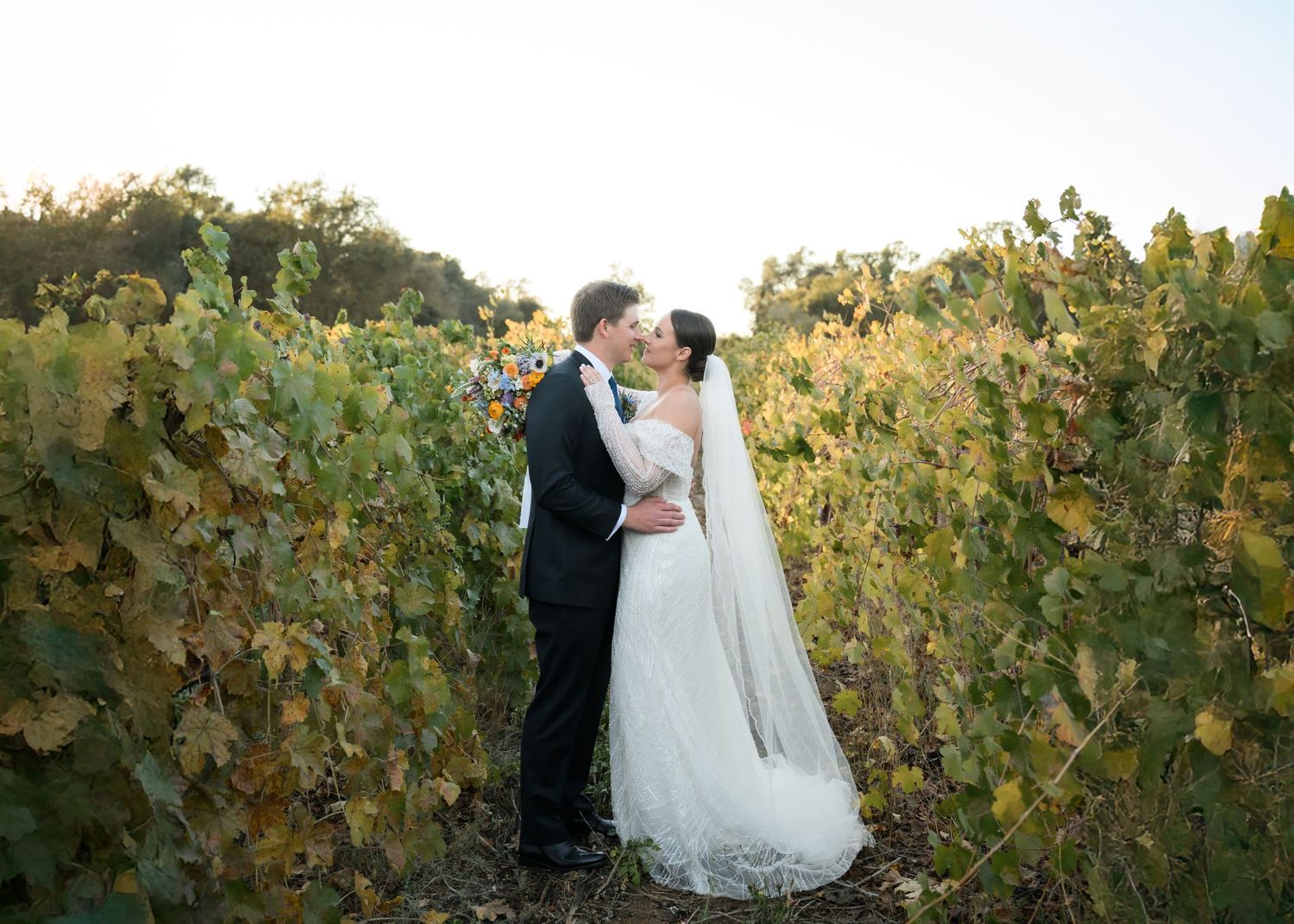 A bride and groom sharing a private moment on their wedding day among the vineyards at Le Reve Estate and Lamoure Vineyards.
