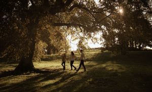 Perhevalokuvaus, perhevalokuvaaja. family photographer, perefotograaf
