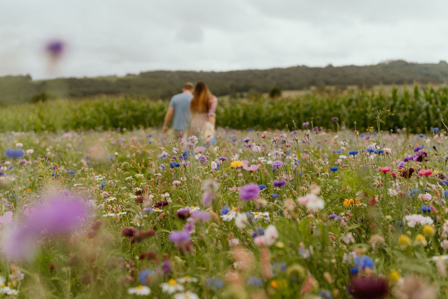A serene wildflower meadow blooms with purple and blue flowers as figures walk among the colorful field on a cloudy day.
