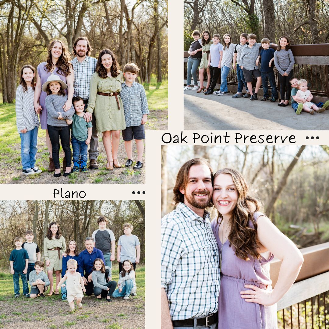 Outdoor nature preserve photography featuring wooded paths and scenic bridges.