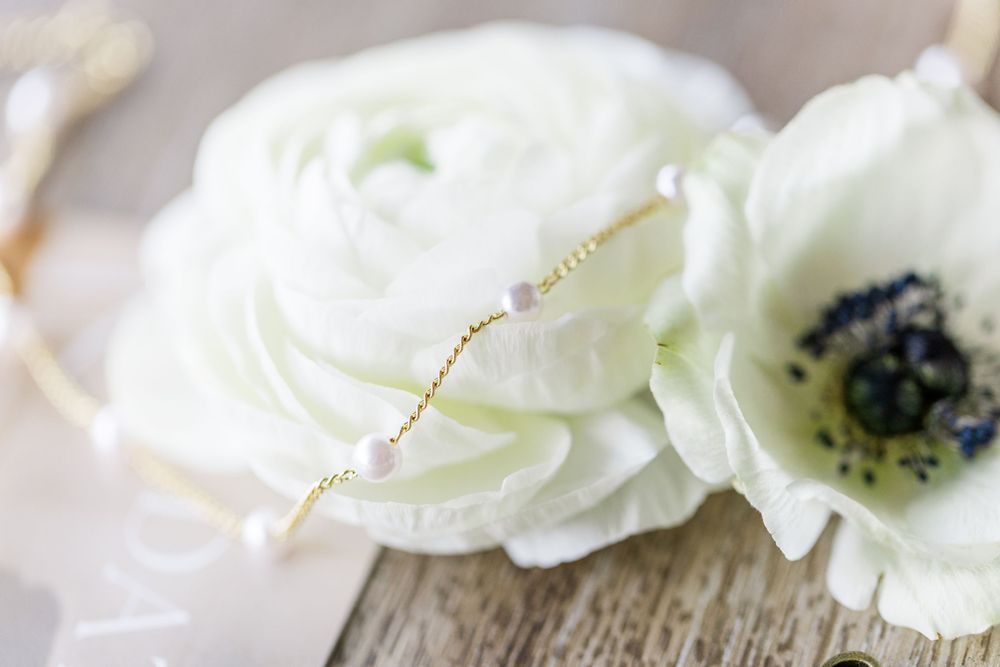 A delicate white ranunculus flower with golden accents photographed in macro detail.