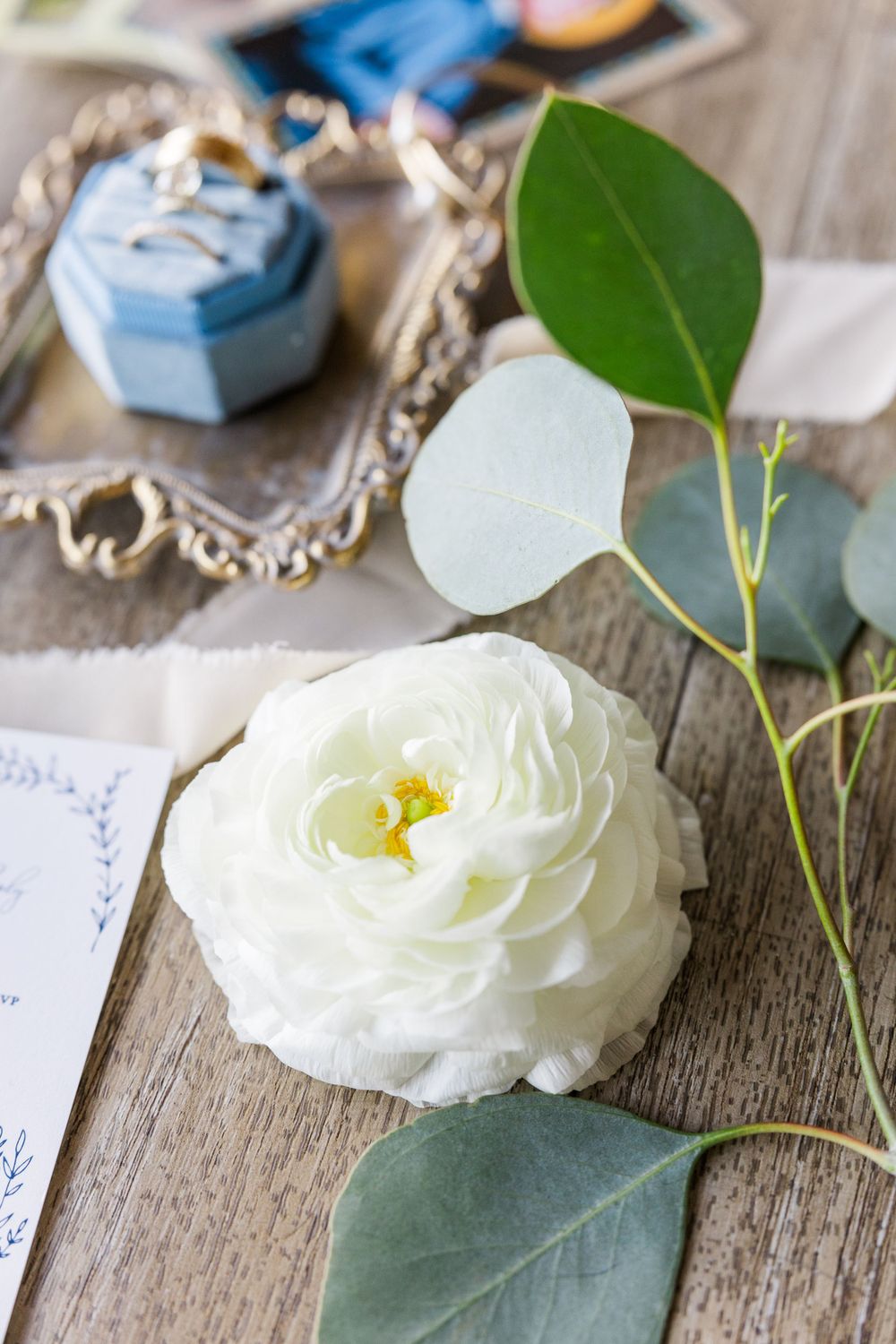 White ranunculus flower with green leaves and a decorative blue box on rustic wooden surface.