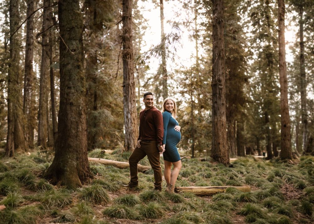 A romantic maternity photoshoot in a sunlit forest with tall evergreen trees.