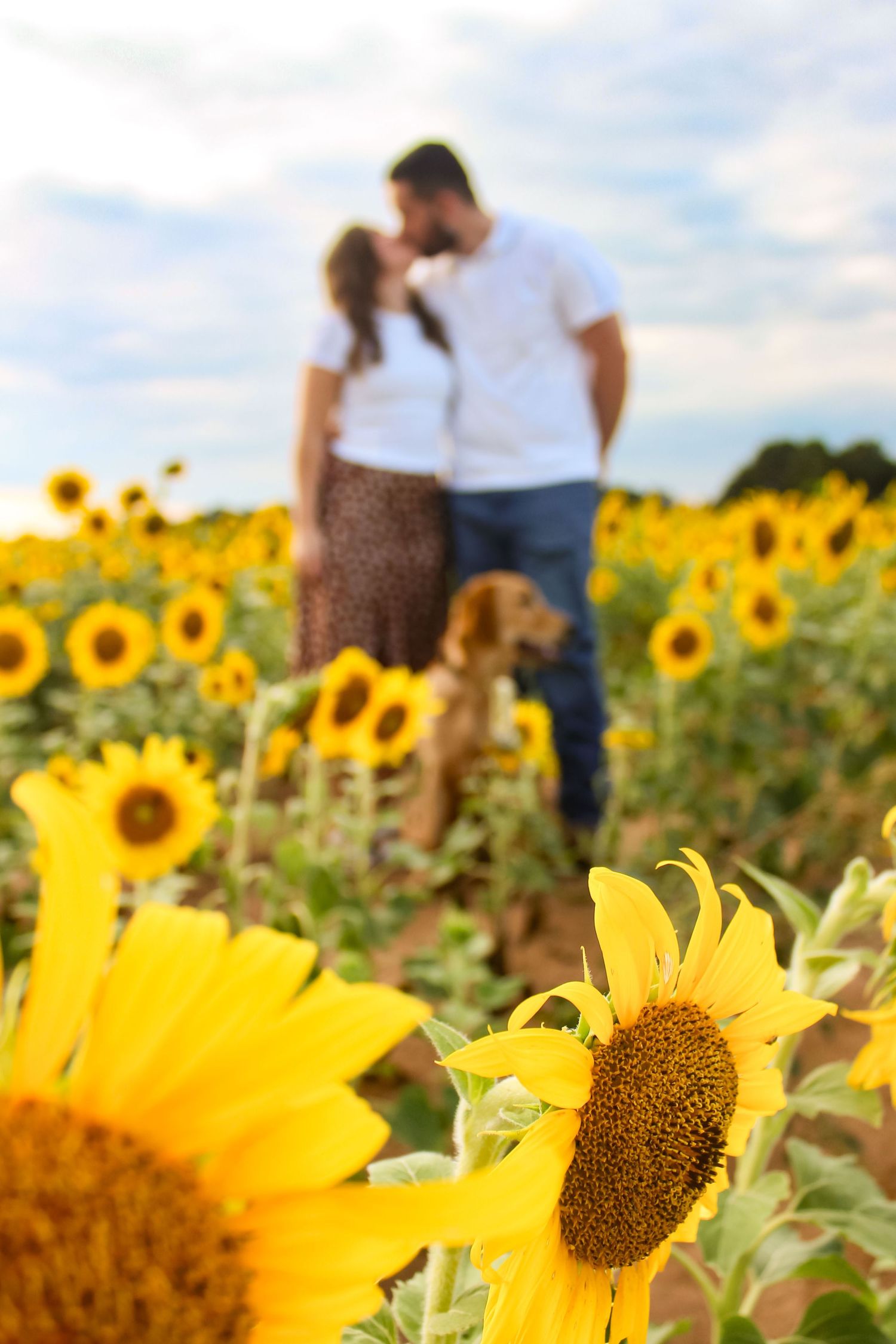 Pet and family photography, Daphne, AL