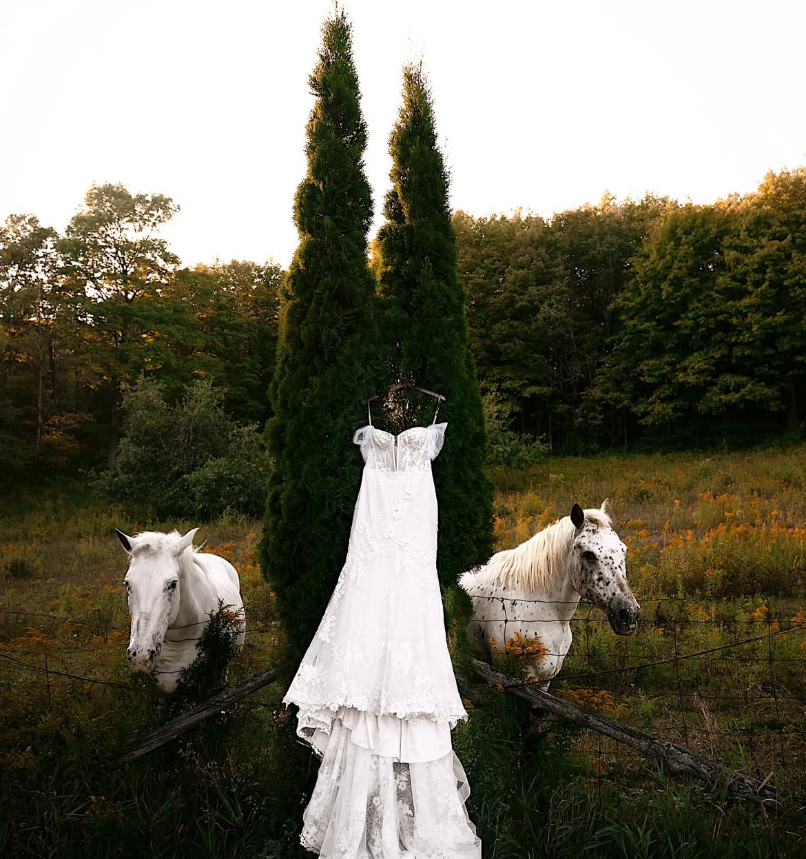 Chelsee Taylor Studio