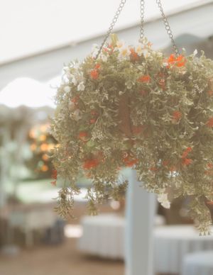 A hanging basket filled with delicate dried flowers and orange accents creates an ethereal garden display.