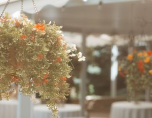 Hanging floral baskets with orange blooms create a romantic outdoor setting.