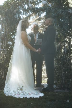 A wedding ceremony takes place outdoors with a couple holding hands in front of an officiant under tall trees.