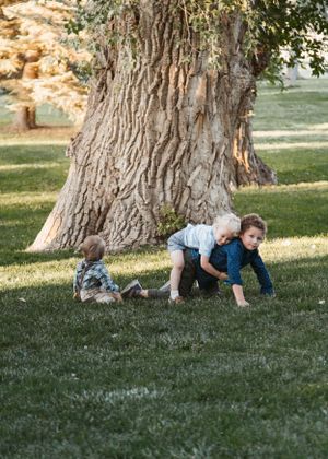 Children playing and crawling on grass near the base of a large tree with textured bark in a sunny park setting.