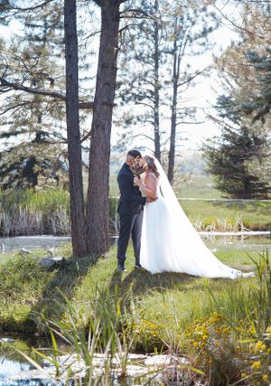 A romantic wedding portrait of a couple standing among tall pine trees near a pond.