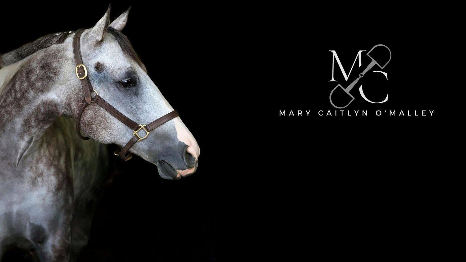 Equestrian-focused design, photography, and social media services to elevate your brand and capture your story.