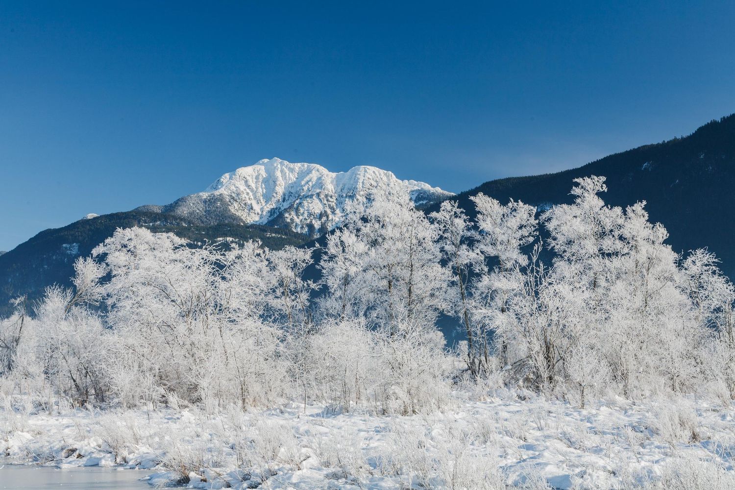 Pitt Lake, Pitt Meadows, Maple Ridge Golden Ears Mountains, Mount Blanshard, British Columbia
