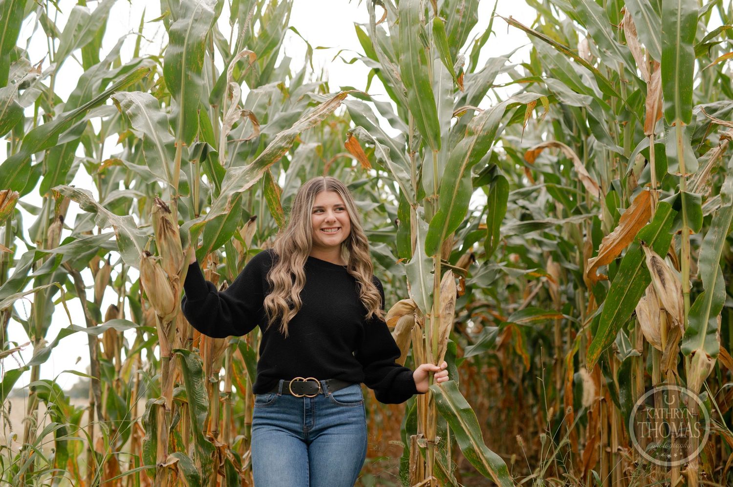 Autumn portrait taken in tall cornfield with someone wearing black sweater and jeans.