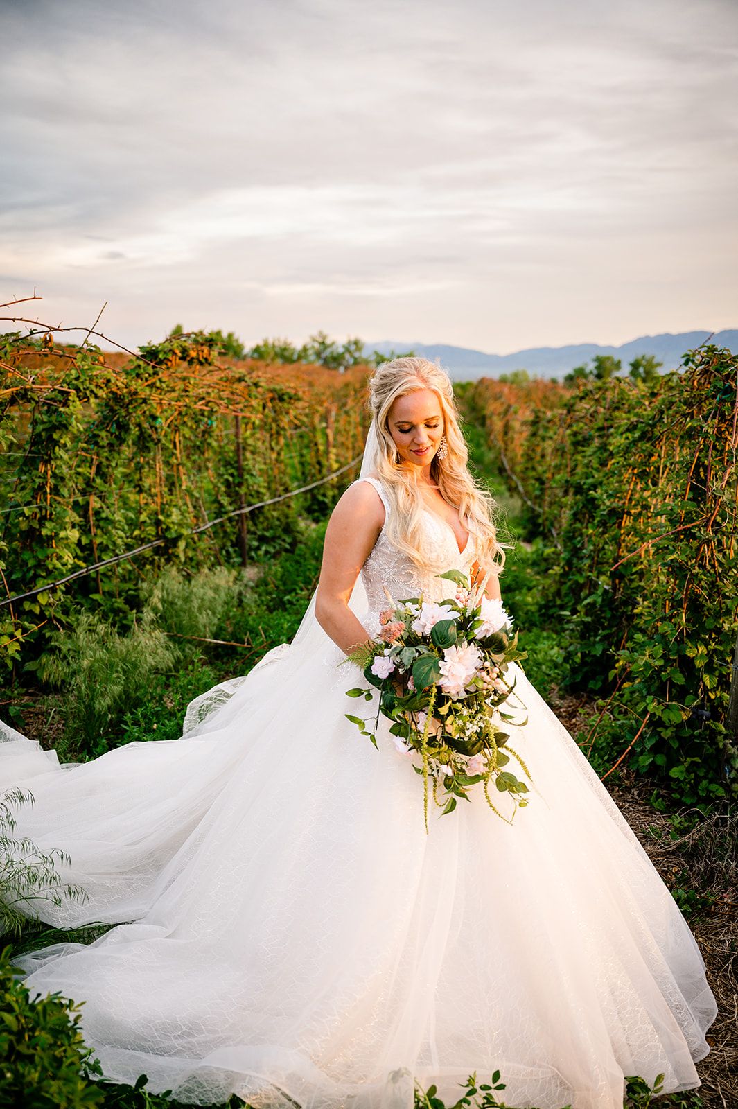 wedding photographer Logan utah