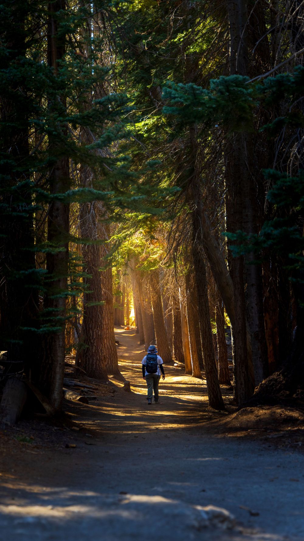 The Light at the End of the Trail