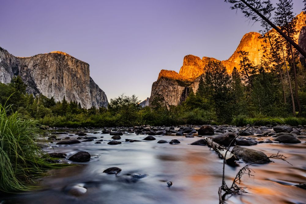 Tuolumne Meadows