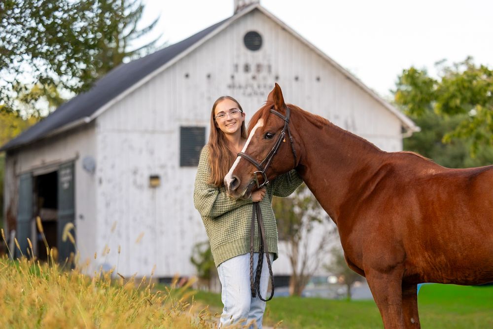 A beautiful chestnut horse stands beside a white barn in a grassy field on a sunny day.