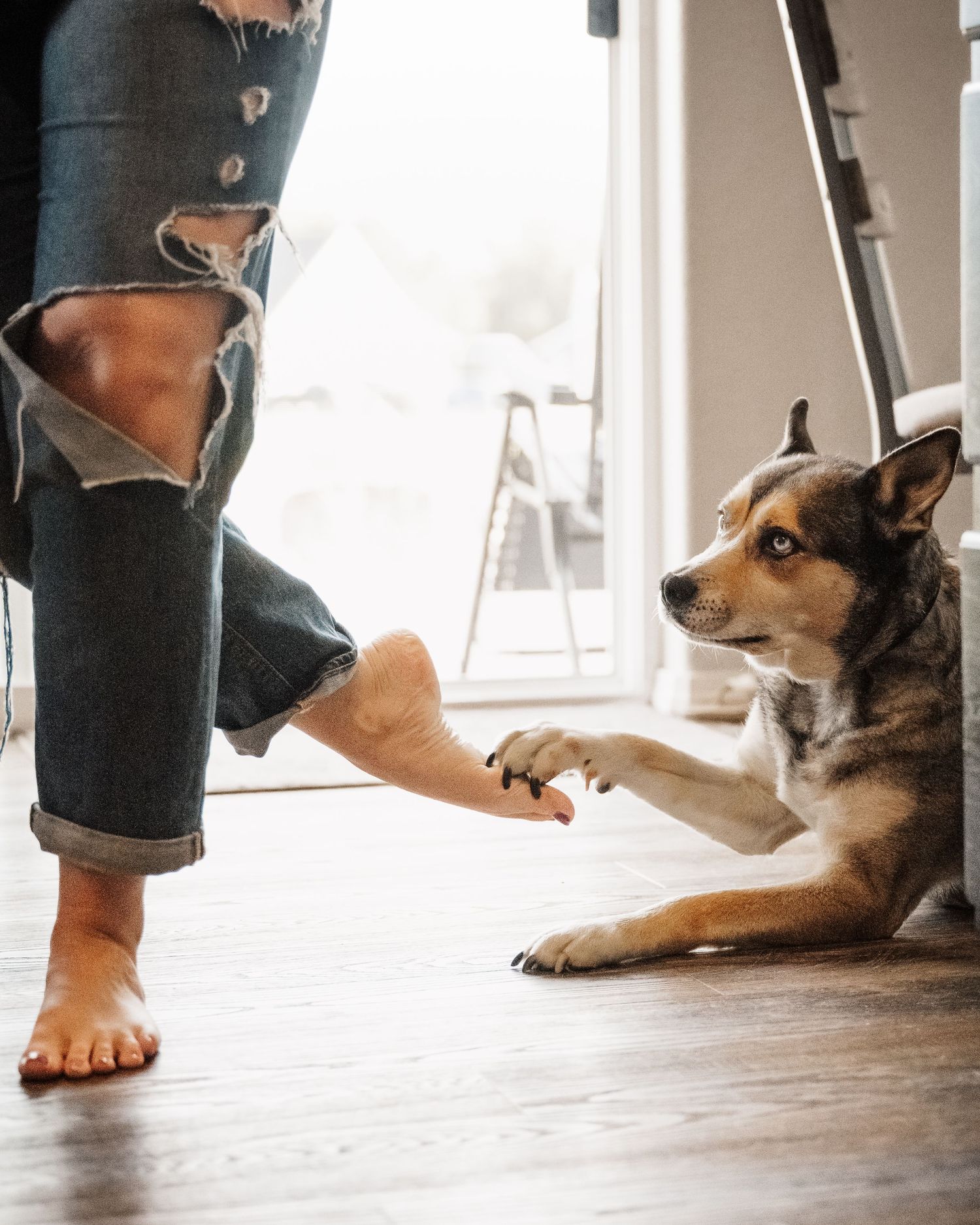 A sweet ‘foot-five’ moment, dog reaching out its paw to meet a barefoot friend in a candid lifestyle photo.