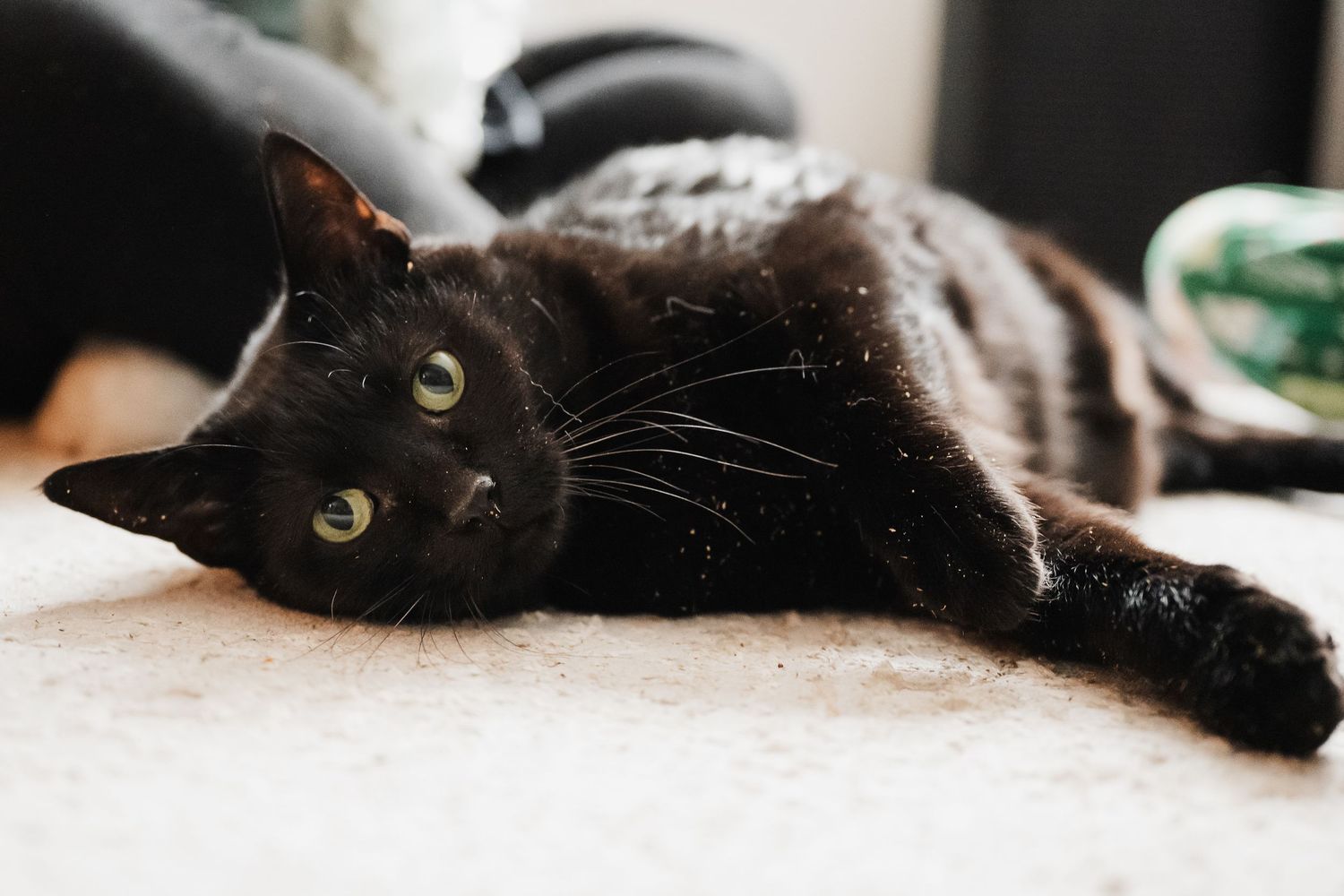 A black cat lies stretched out on a white surface while sunlight illuminates its relaxed body.