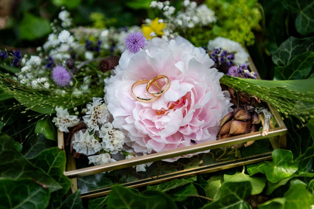 Eheringe eingebettet in eine rosa Pfingstrosenblüte mit weißen Schleierkrautblüten und Grün im goldenen Rahmen.