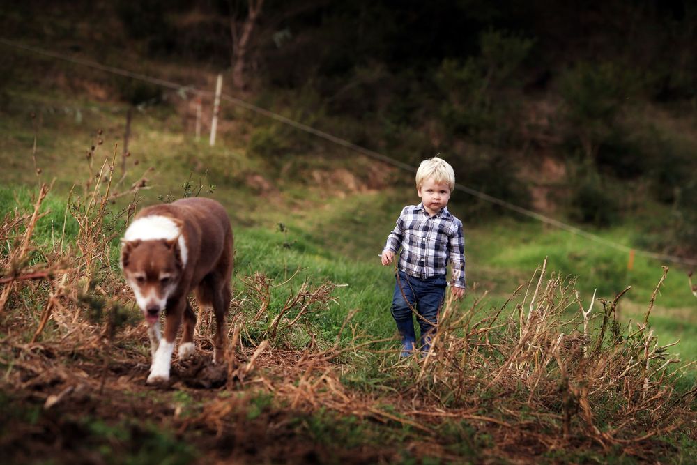 Authentic, emotive portrait family photography that captures real moments, true connection, and the unique essence of every individual.