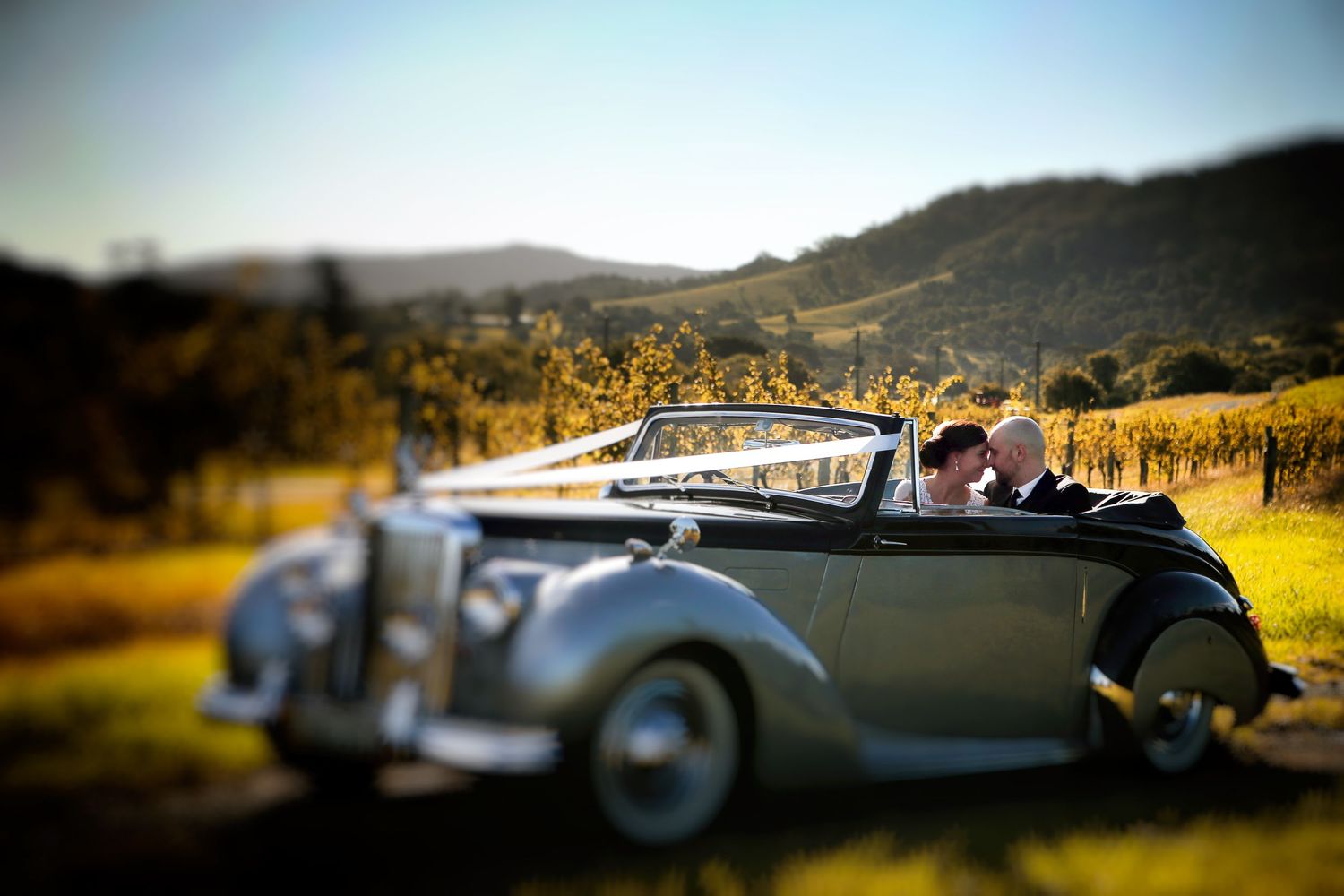 Professional photographer in Yeppoon, QLD, specializing in weddings, events, portraits, editorial, and corporate photography