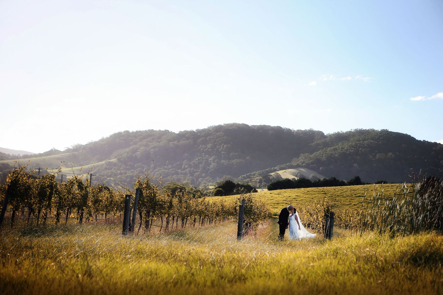 Professional photographer in Yeppoon, QLD, specializing in weddings, events, portraits, editorial, and corporate photography