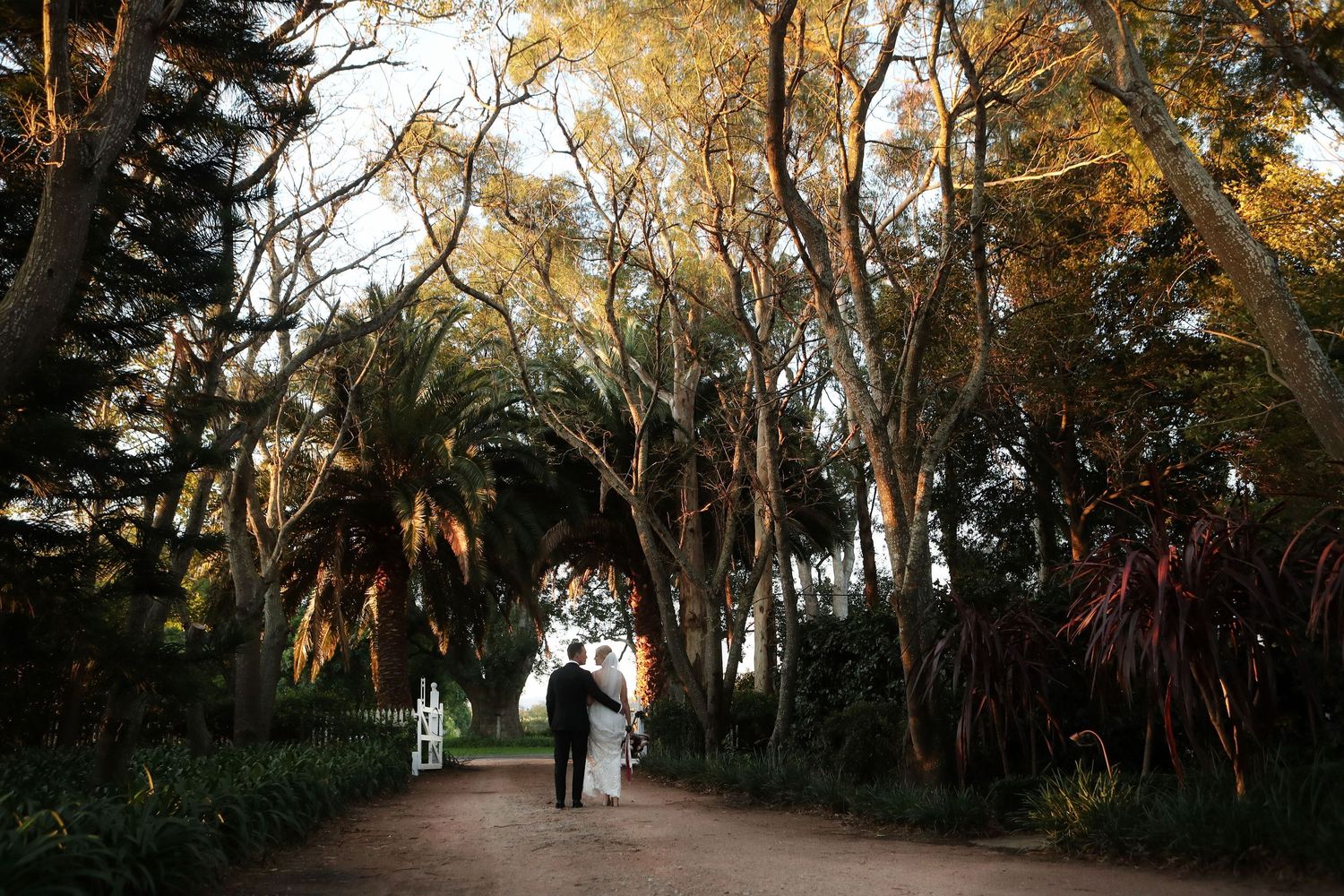 Professional photographer in Yeppoon, QLD, specializing in weddings, events, portraits, editorial, and corporate photography