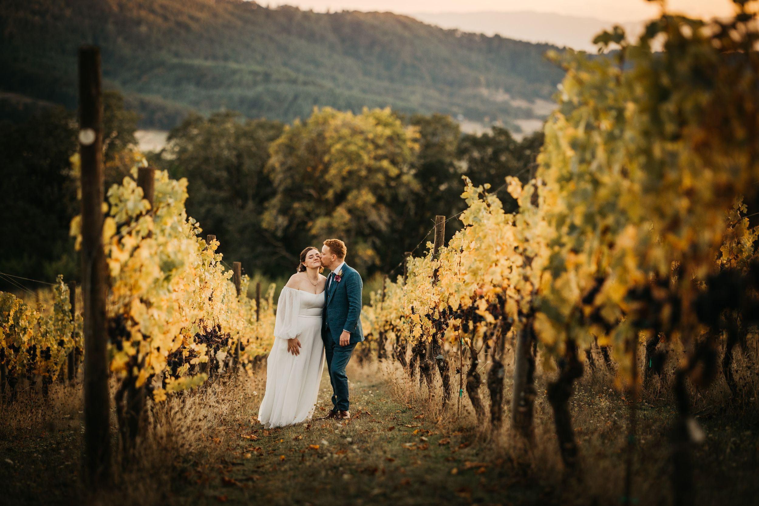 A couple shares a romantic moment at sunset between golden rows of grapevines in an autumn vineyard.