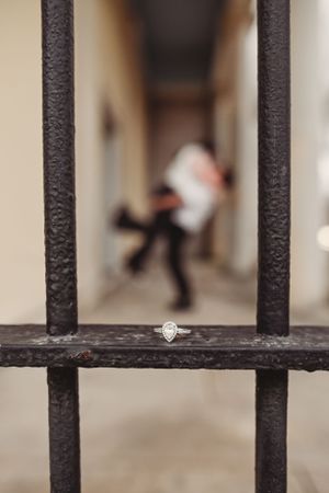 Detail shot of black metal fence bars with shallow depth of field.