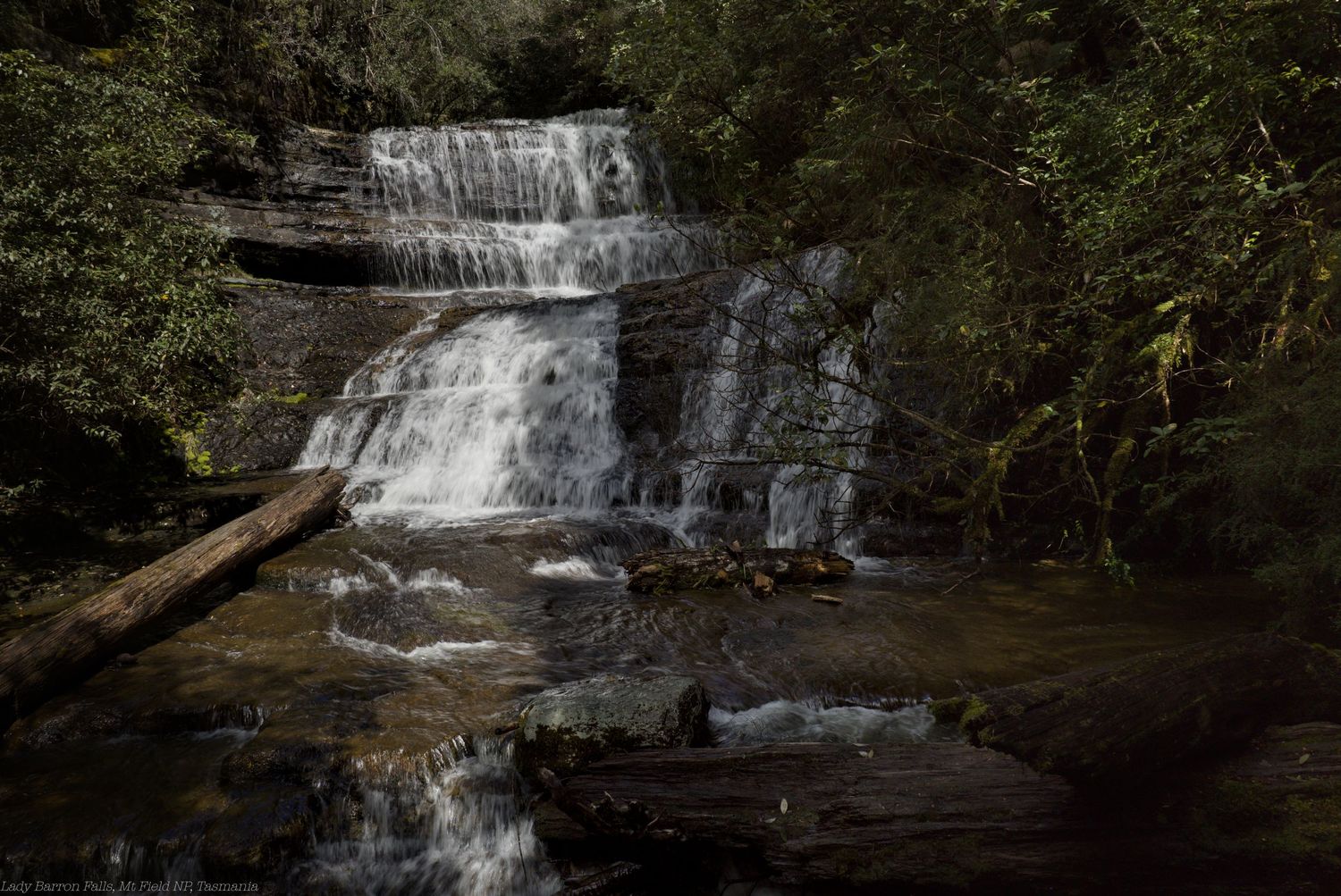 Multi-tiered waterfall cascading over dark rock ledges into a shaded forest stream, with a fallen log and lush green foliage nearby.