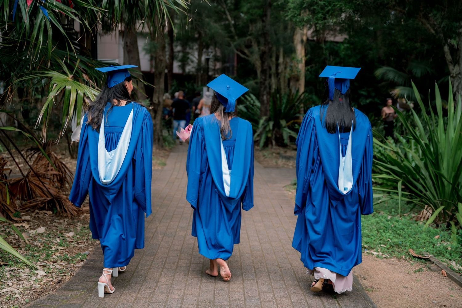Three graduates in blue gowns and caps walk away along a brick path through lush tropical greenery on graduation day.