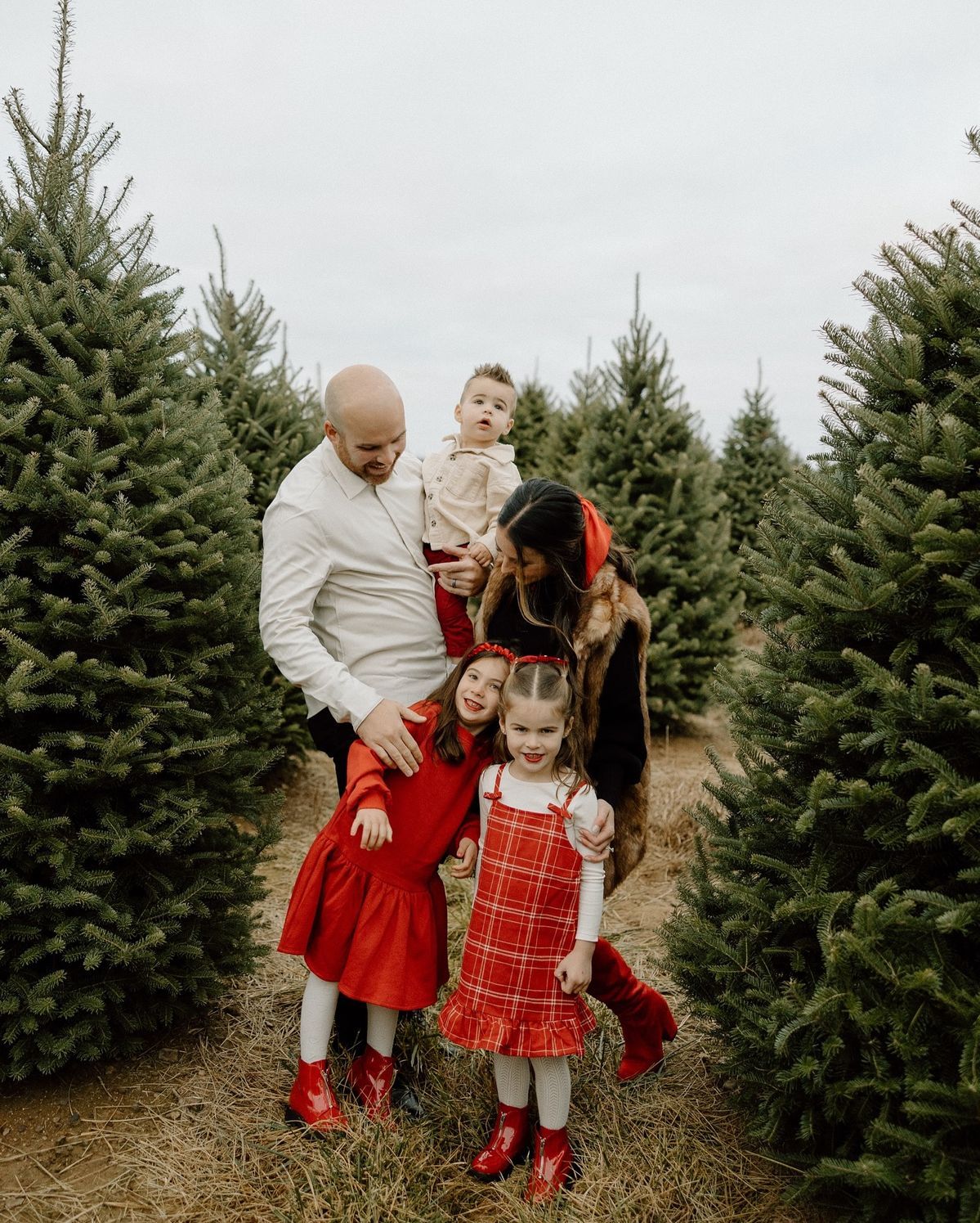 Family posing among Christmas trees at a tree farm, children in red dresses and boots, parents holding a toddler.