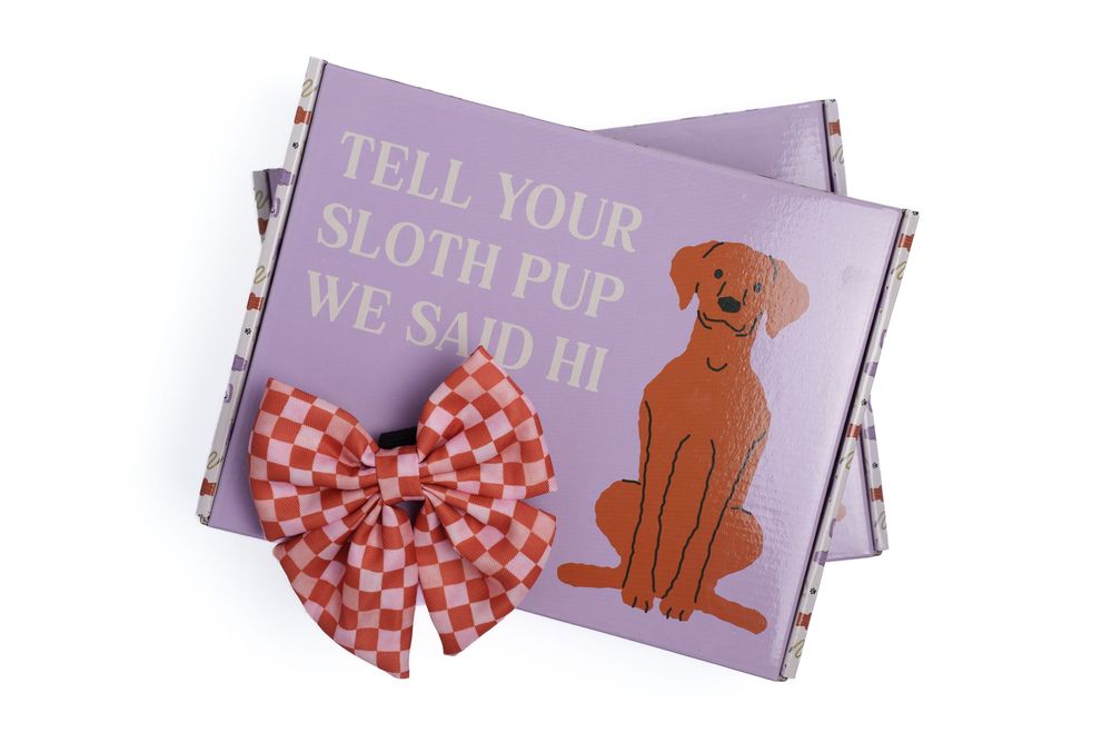 Purple gift box with illustrated dog and 'Tell Your Sloth Pup We Said Hi' text, featuring a red checkered bow.
