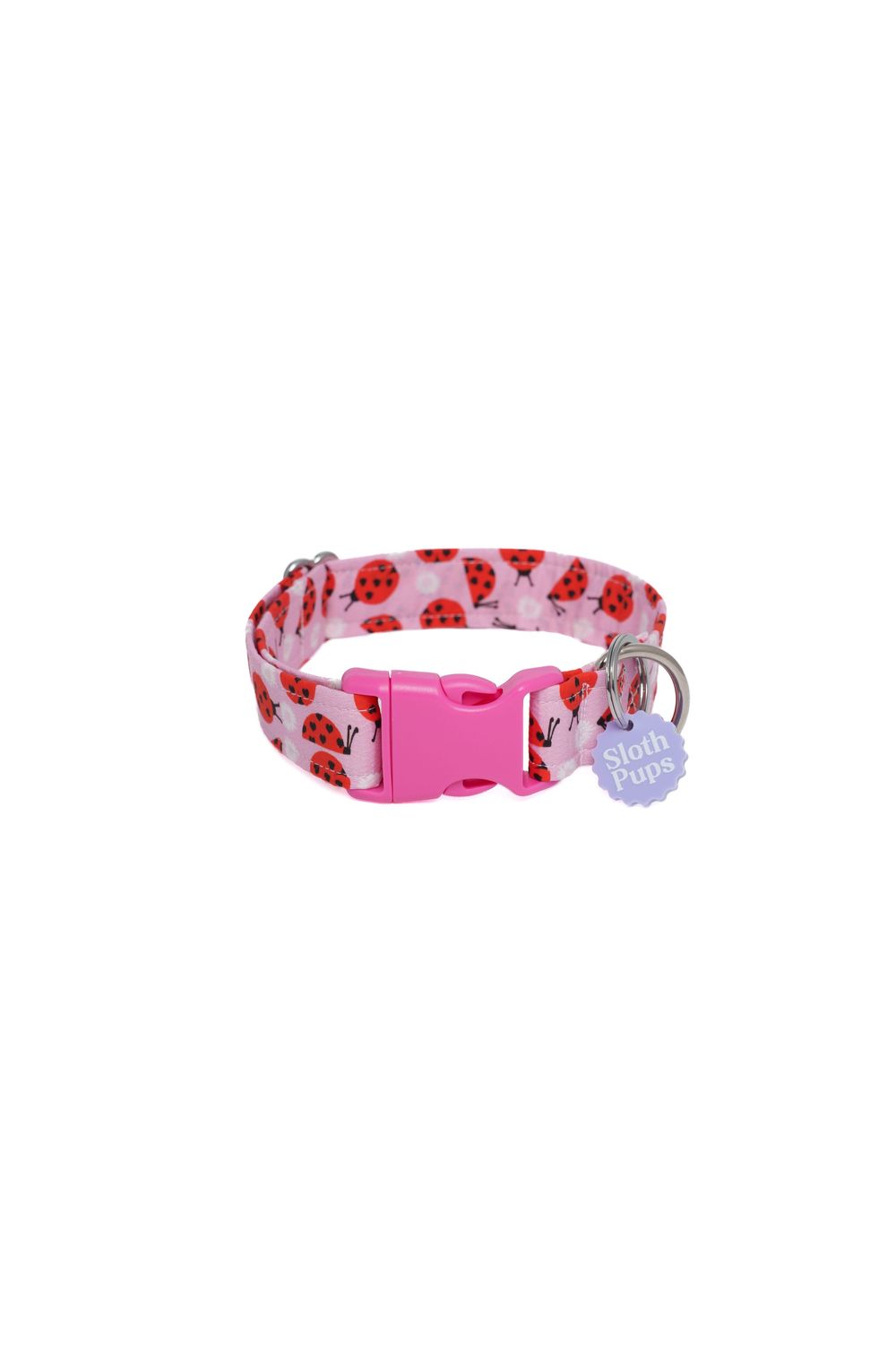 Pink ladybug print dog collar with hot pink buckle and Molly Pups charm tag.
