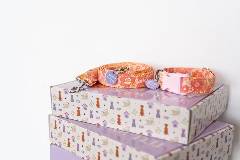 Orange floral dog collar and leash set displayed on stacked lavender gift boxes with cute pet pattern.