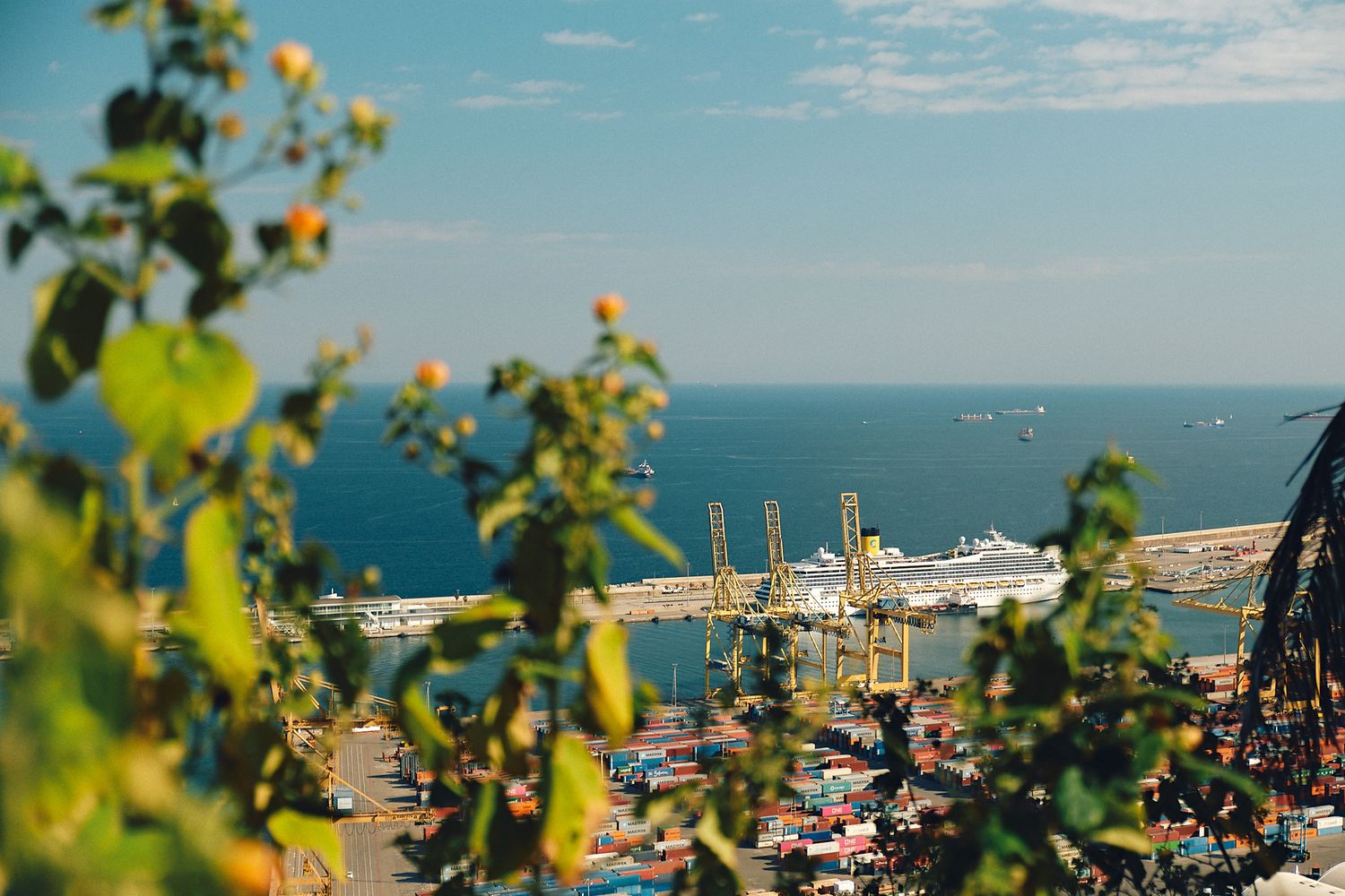 Aerial view of a busy Mediterranean port with cranes, cruise ships, and blue sea framed by lush green foliage.