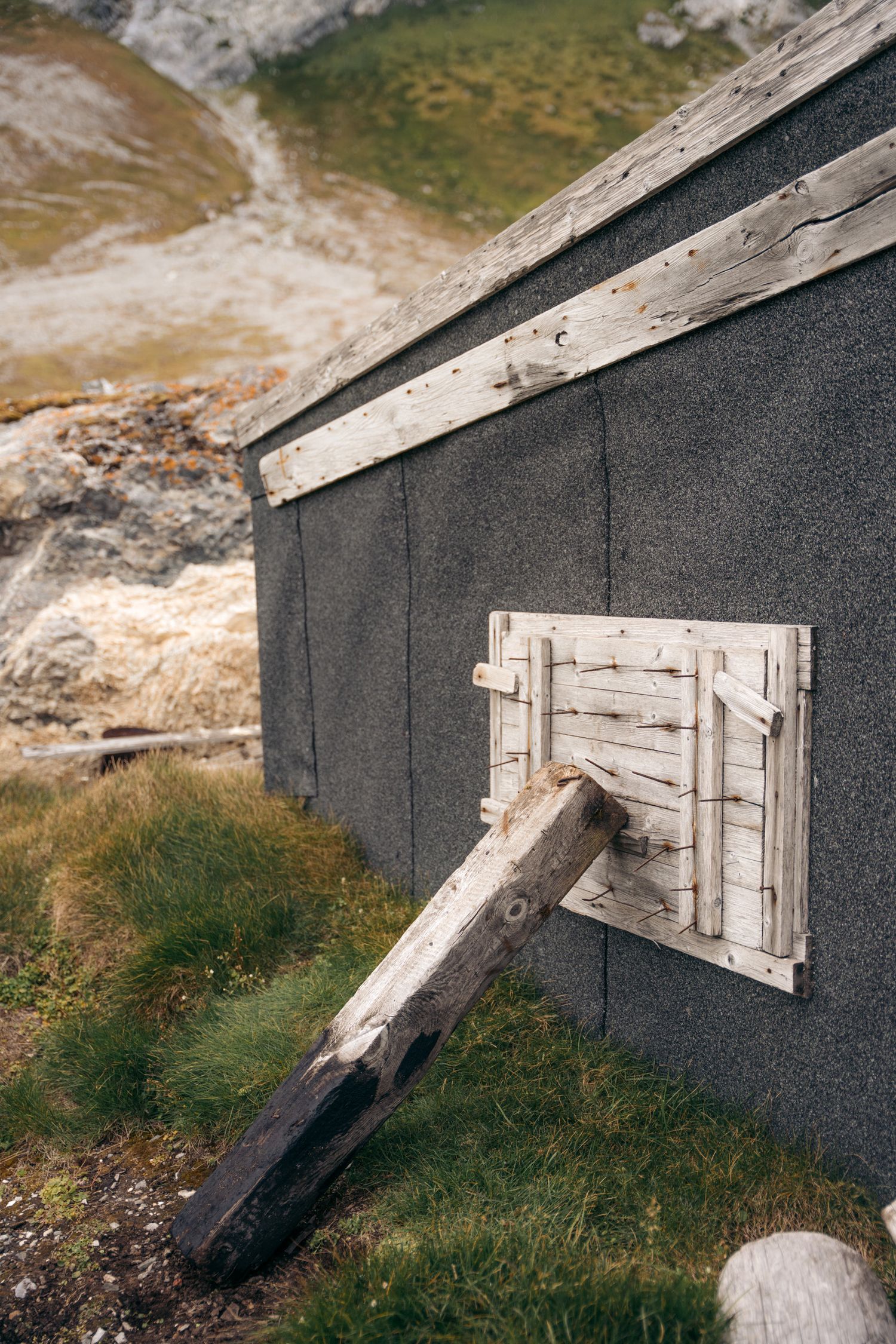 Volet de bois hérissé de pointes protégeant la cabane de Gnålloden des ours polaires