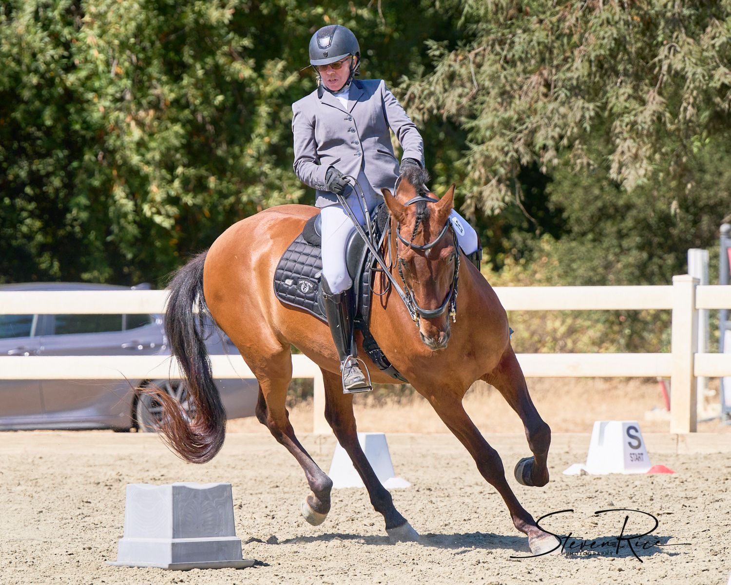 Horse doing figure 8 obstacle in Working Equitation competition in Portola Valley California