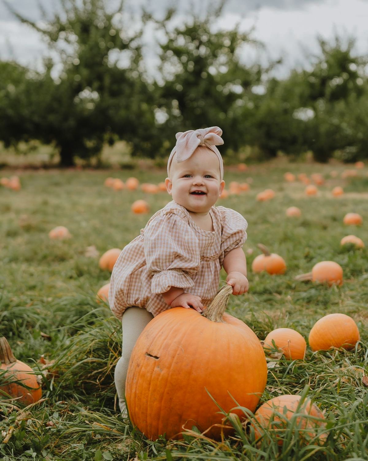 A smiling baby girl in a plaid outfit and bow headband sits with a large orange pumpkin in a pumpkin patch.