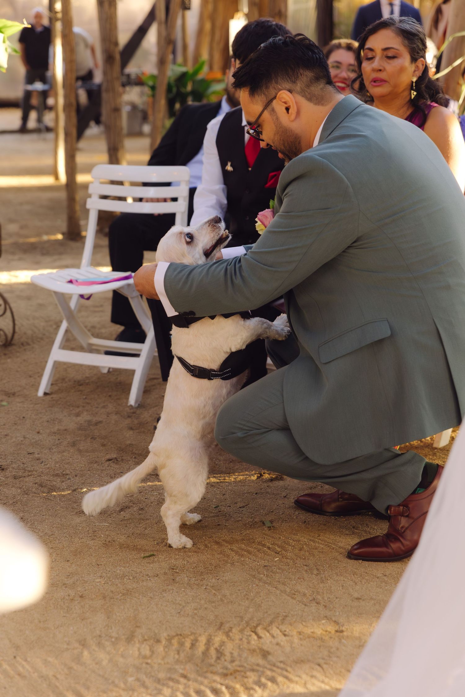 Groom in gray suit crouching to greet small white dog during wedding ceremony.