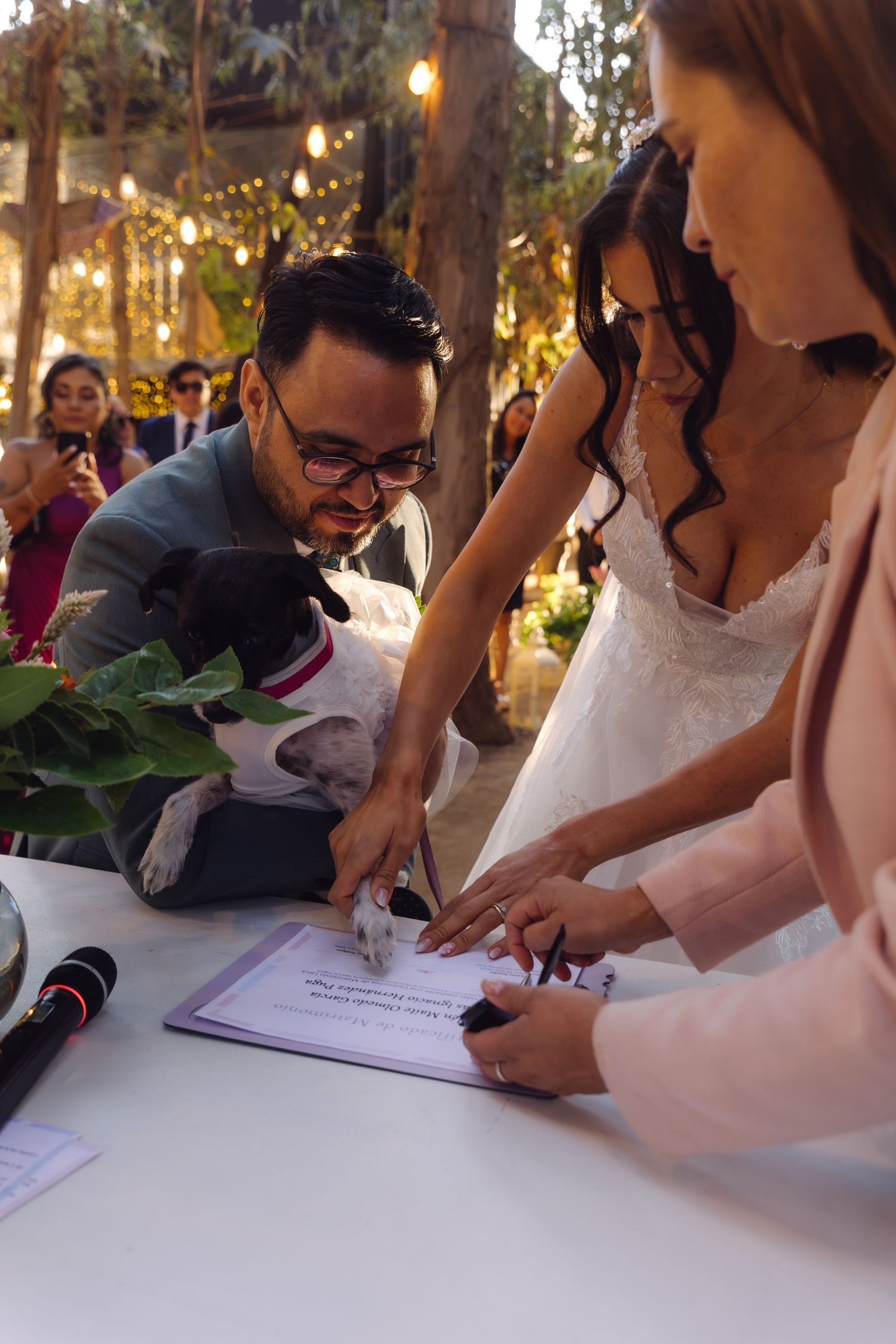 Newlyweds signing marriage certificate with dog present at outdoor wedding reception.