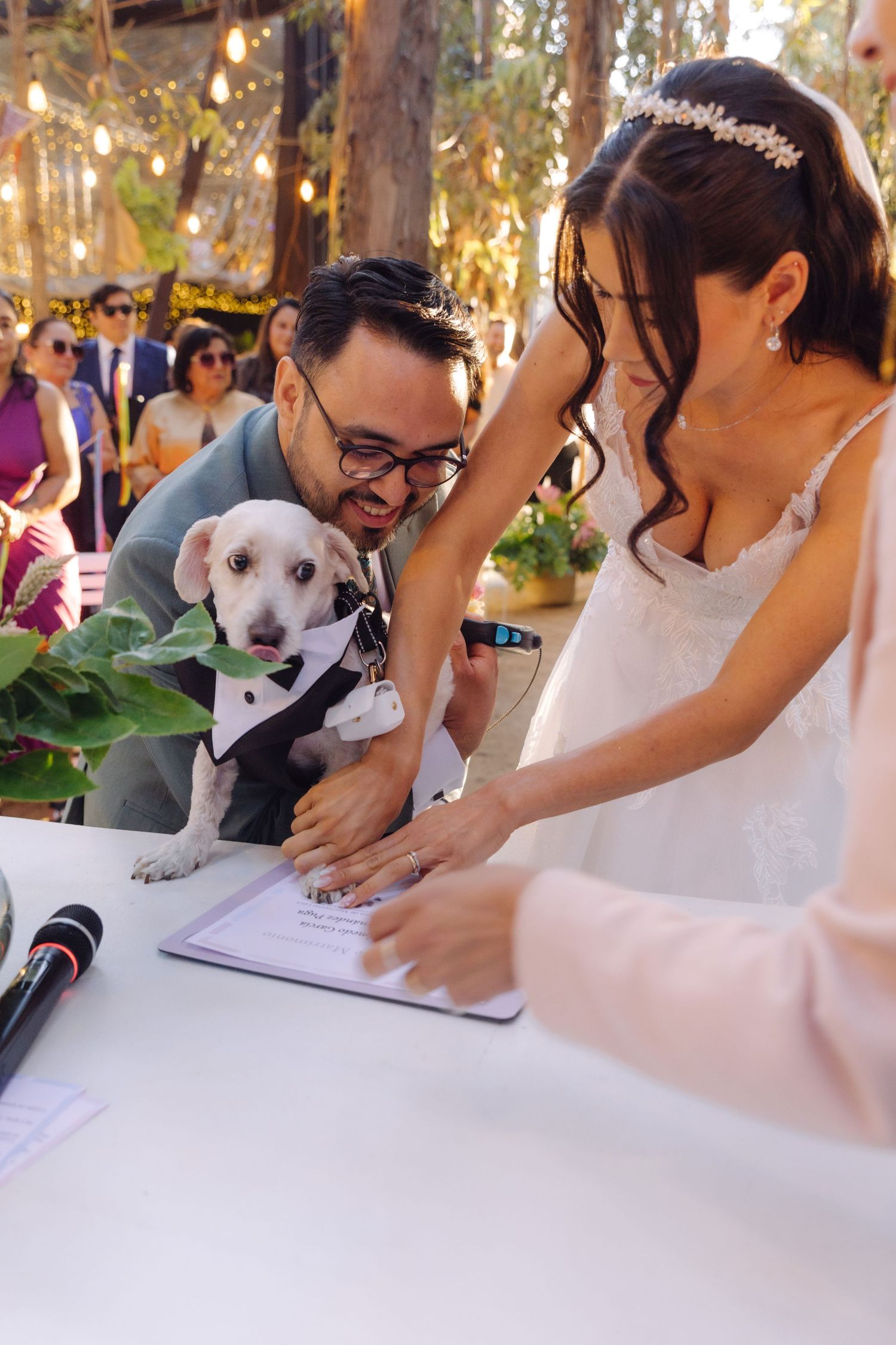 Couple signing marriage documents with their white dog wearing a tuxedo at a woodland wedding.