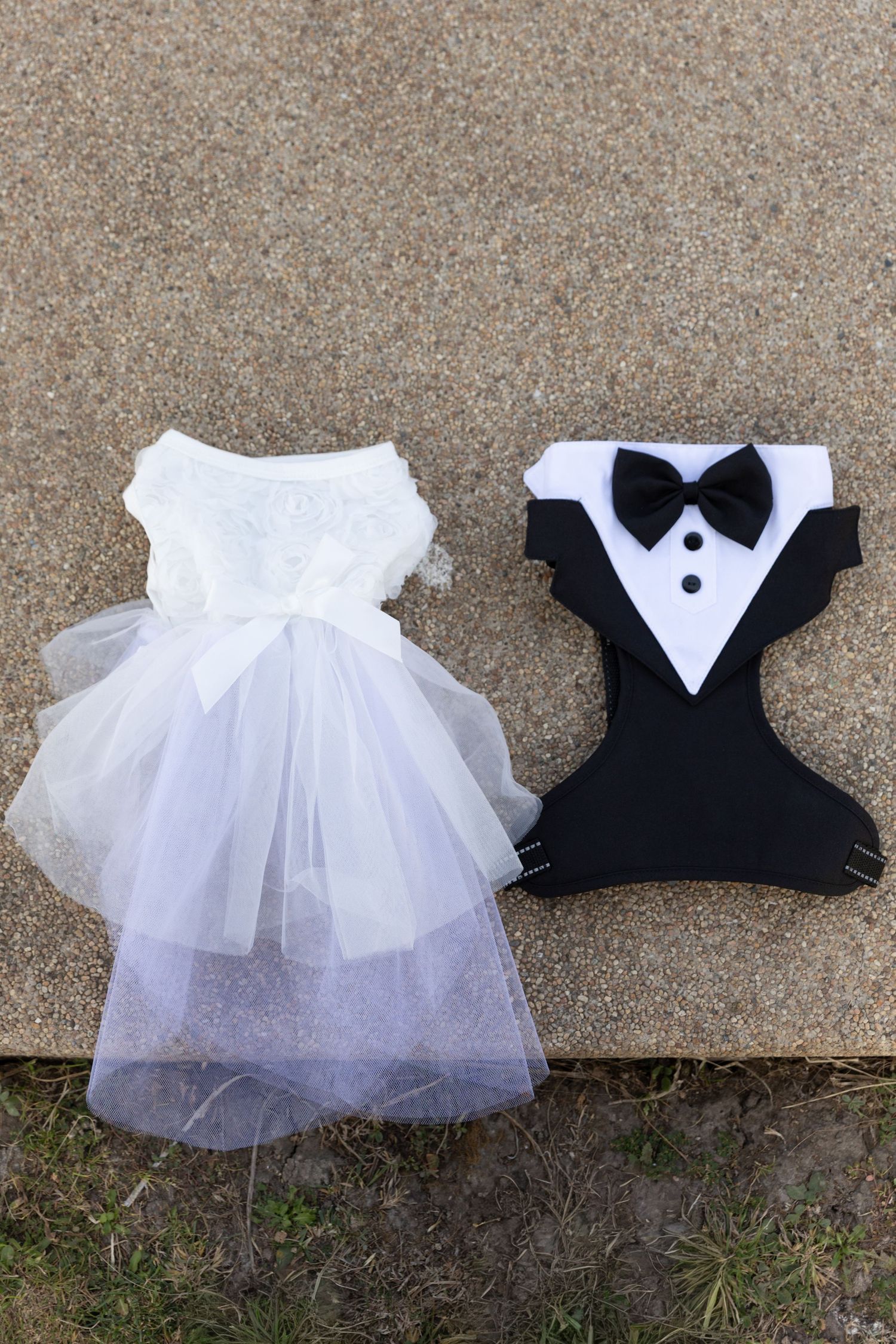 Matching pet wedding outfits including white bridal dress with tulle skirt and black tuxedo with bow tie on pavement.