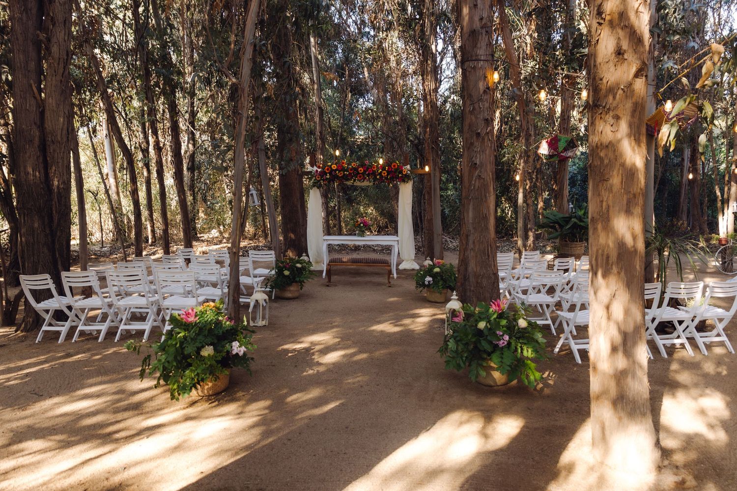 Outdoor forest wedding ceremony setup with white chairs, floral arch altar, and tall pine trees.
