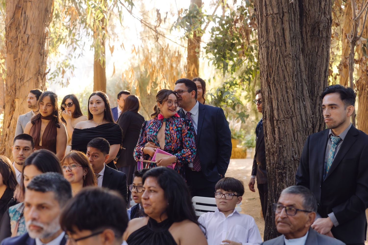Guests gathered outdoors among trees for an elegant wedding ceremony.