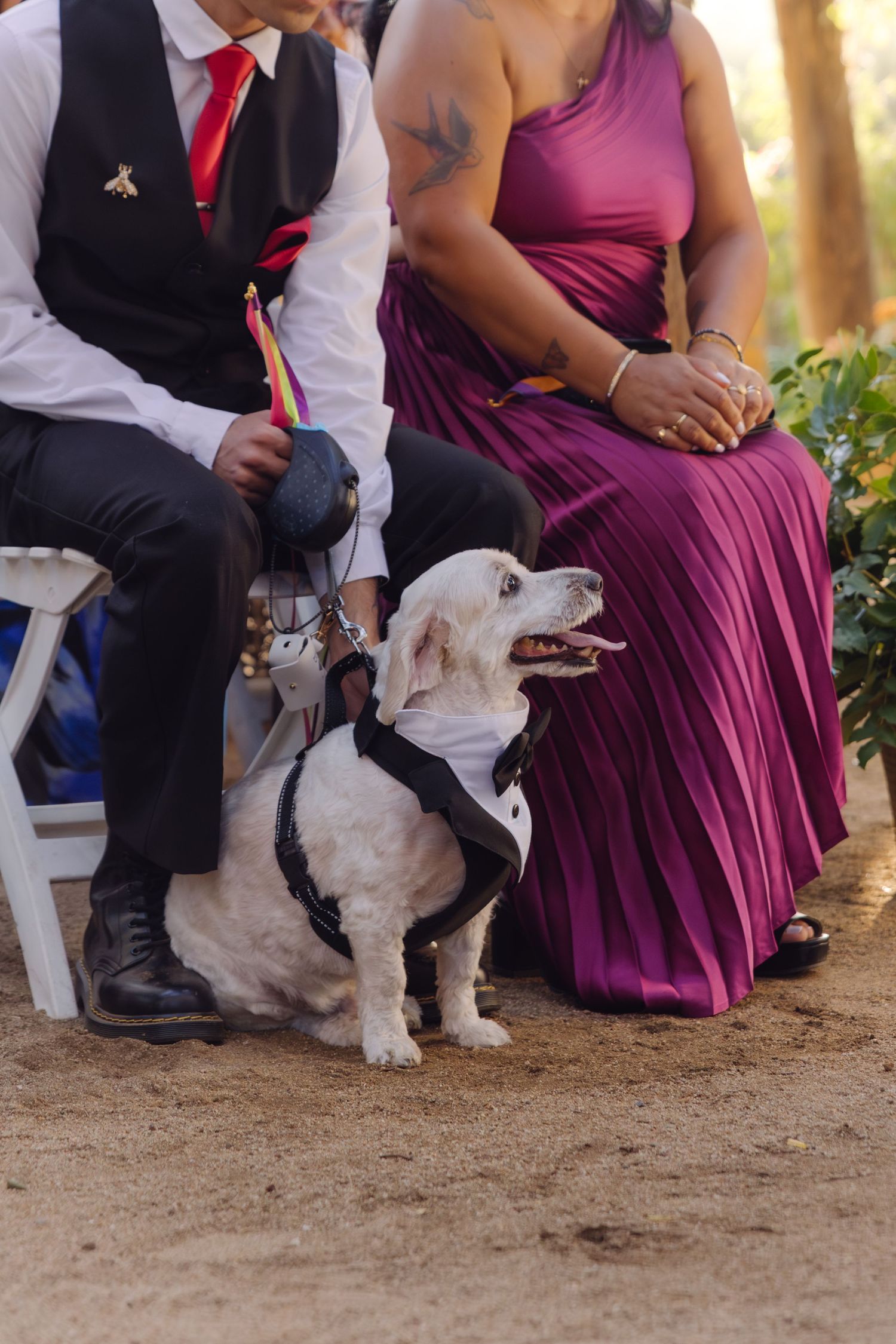 A dressed-up white dog in a tuxedo sits beside wedding guests.